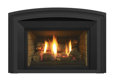 Regency Liberty Series Gas Insert **FLOOR MODEL LIBERTY LRI6E AVAILABLE FOR 50% OFF; SOLD AS IS / LOCAL PICK UP ONLY**